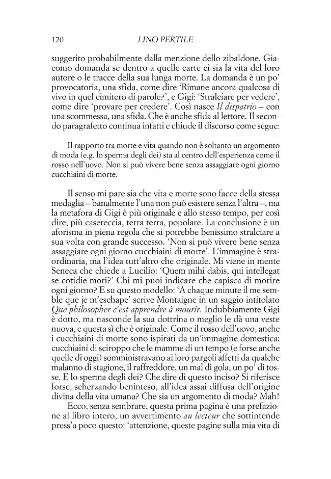 Pagina campione