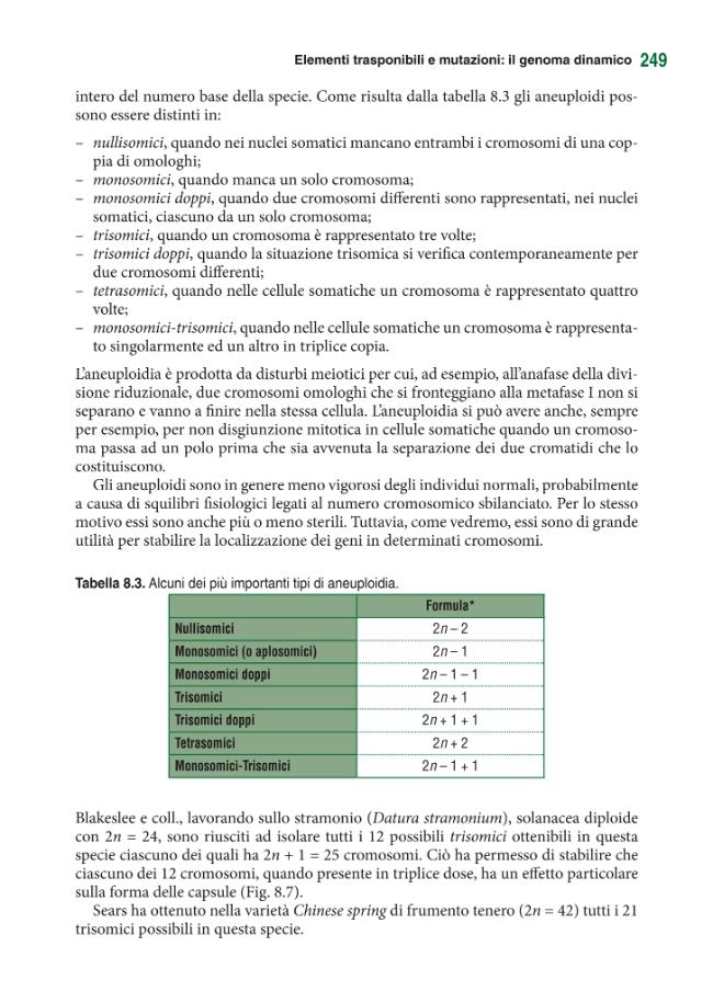 Pagina campione