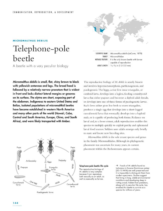 Exemple de page