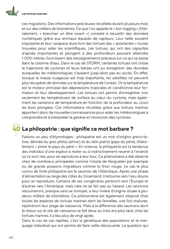 Probeseite