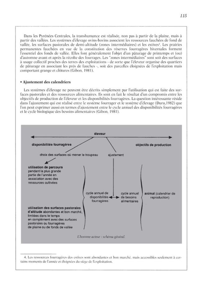 Probeseite