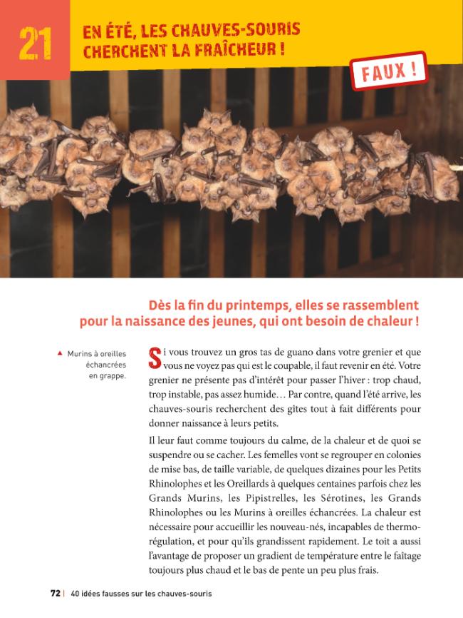 Probeseite