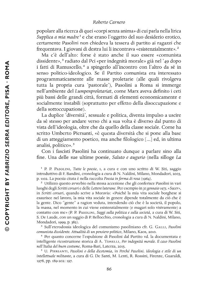 Pagina campione