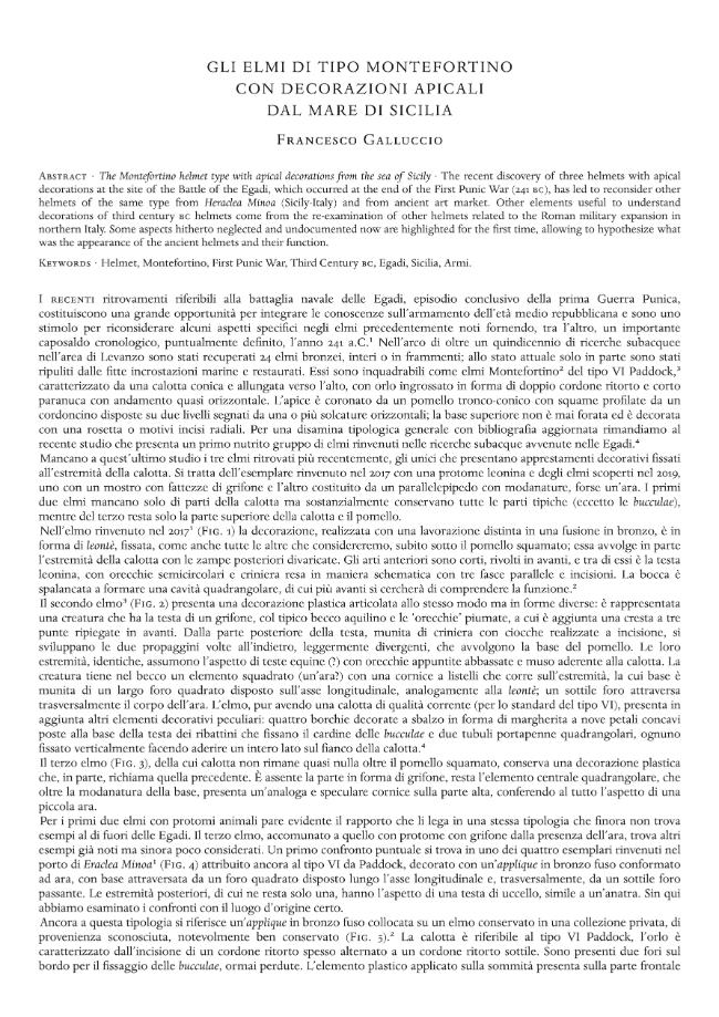 Pagina campione