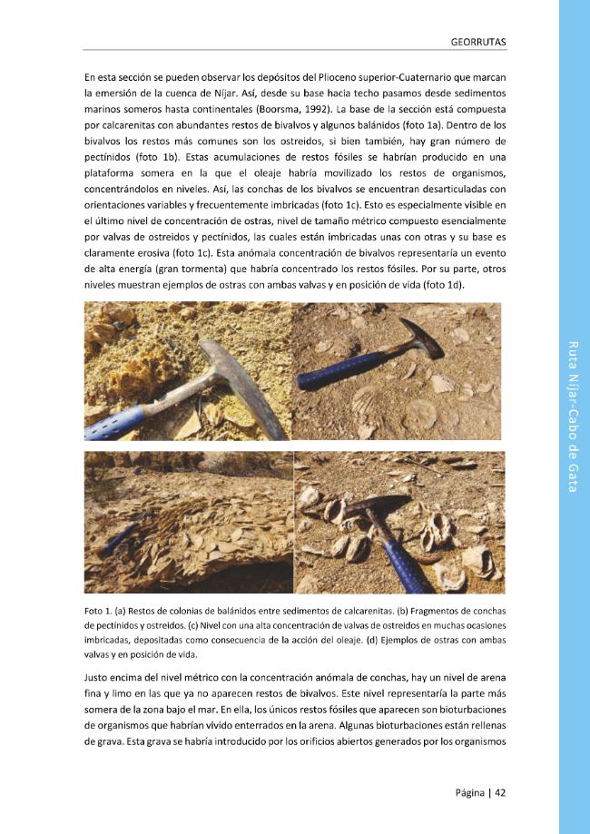 Página de muestra