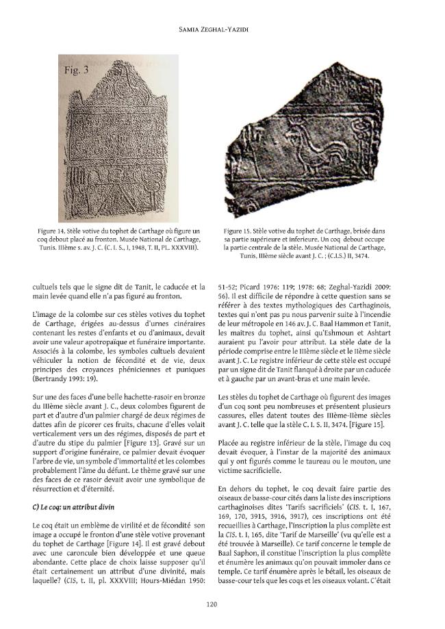 Página de muestra