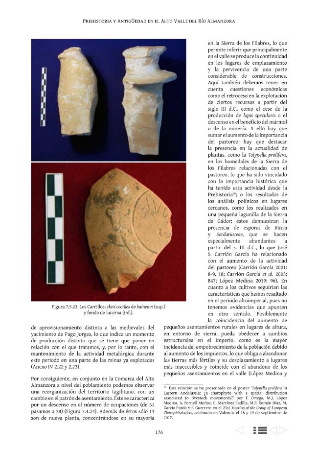Probeseite