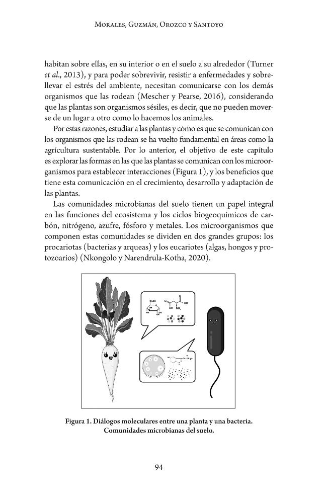 Probeseite
