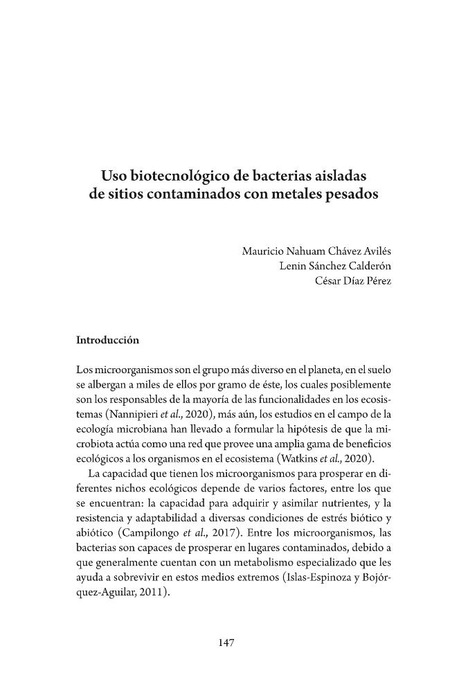 Probeseite