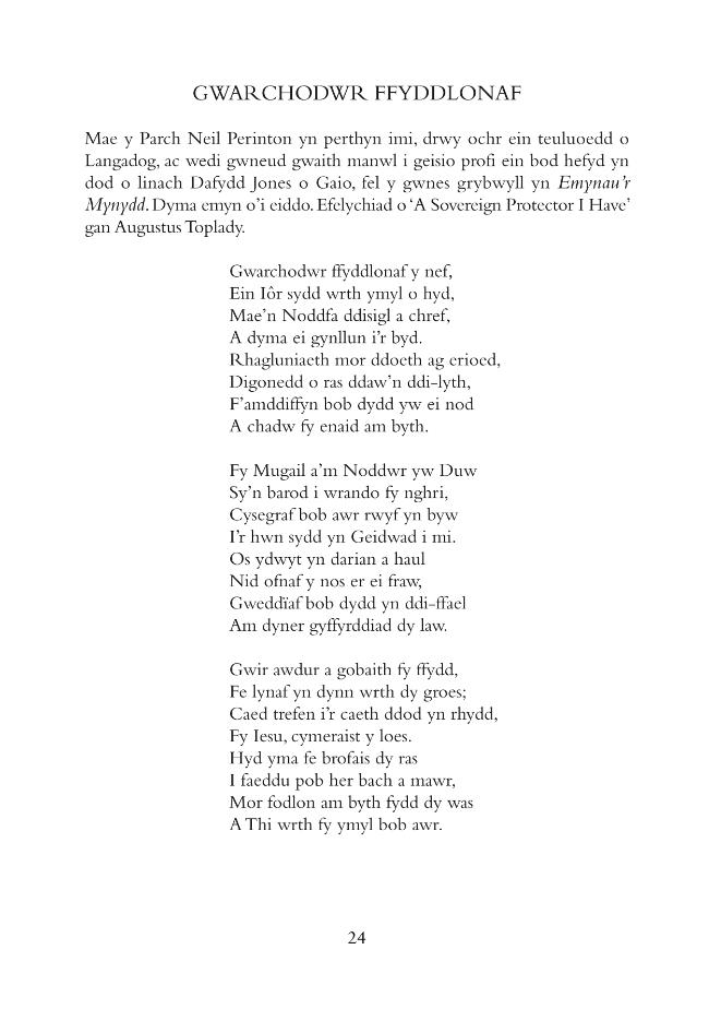 Pagina campione