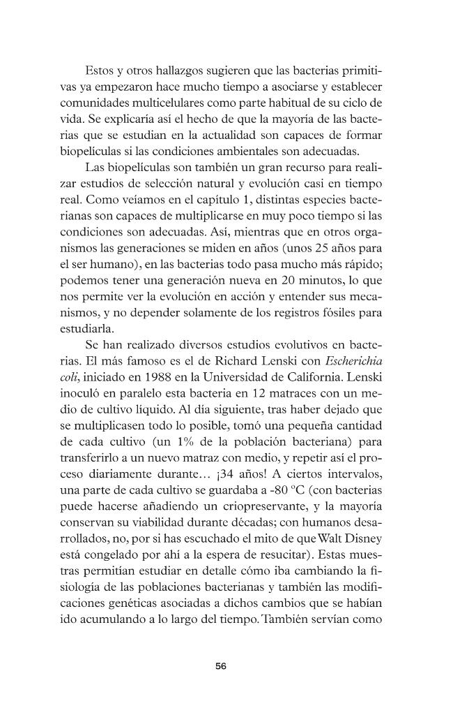 Página de muestra