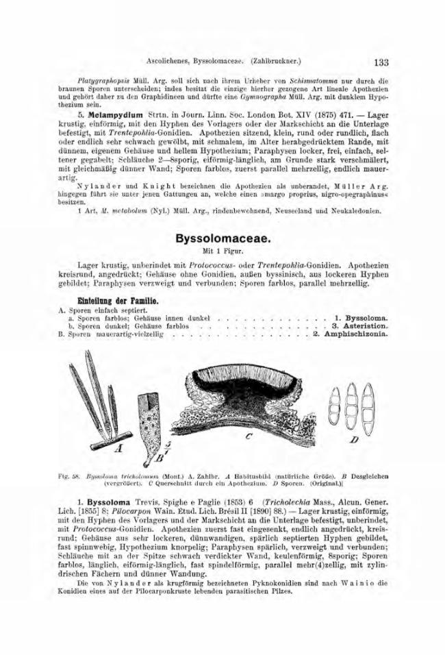 Probeseite