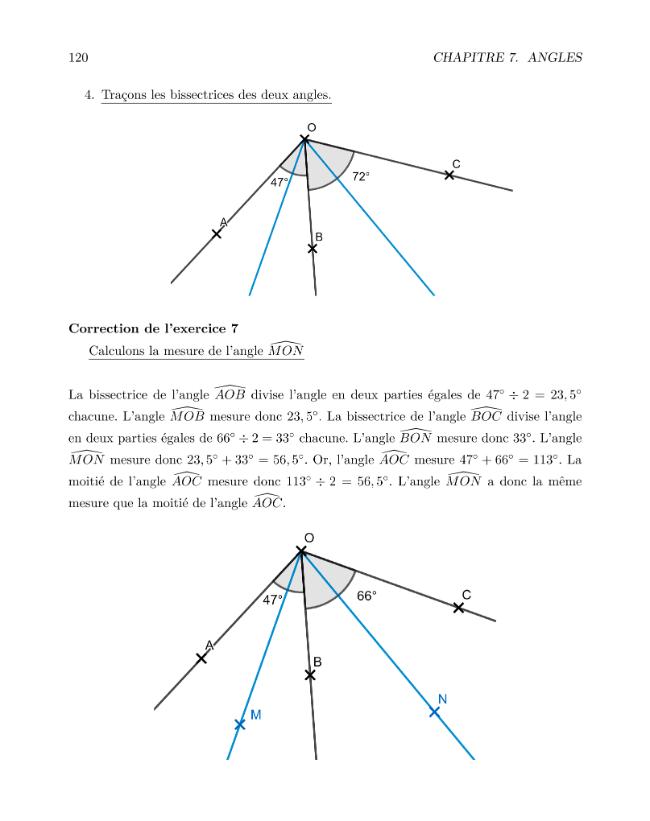 Pagina campione