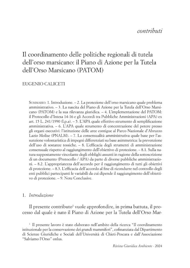 Pagina campione