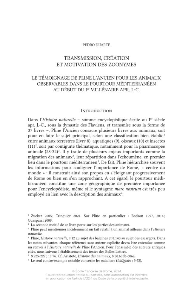 Pagina campione