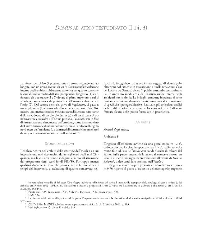 Pagina campione