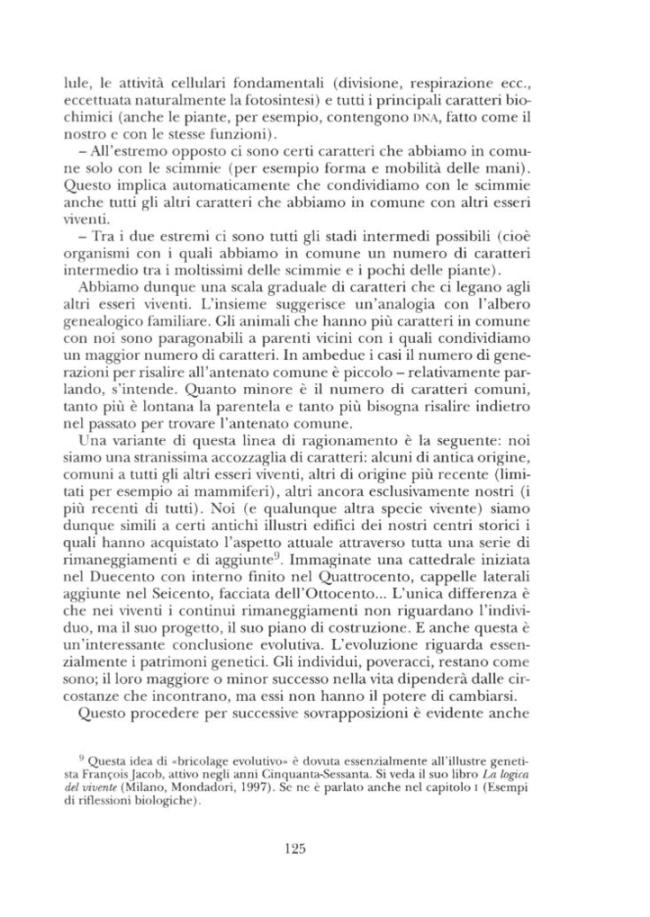 Página de muestra