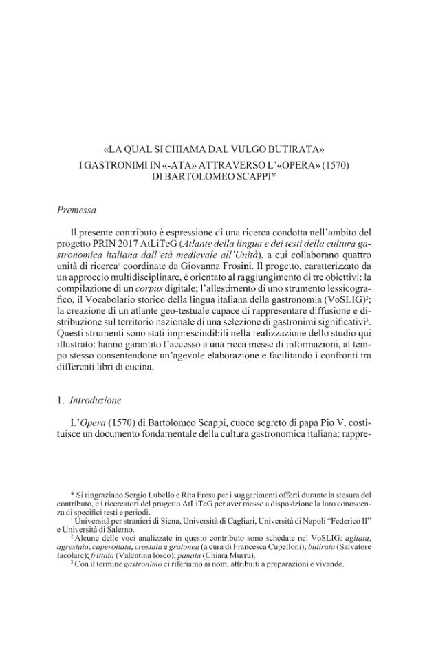 Pagina campione