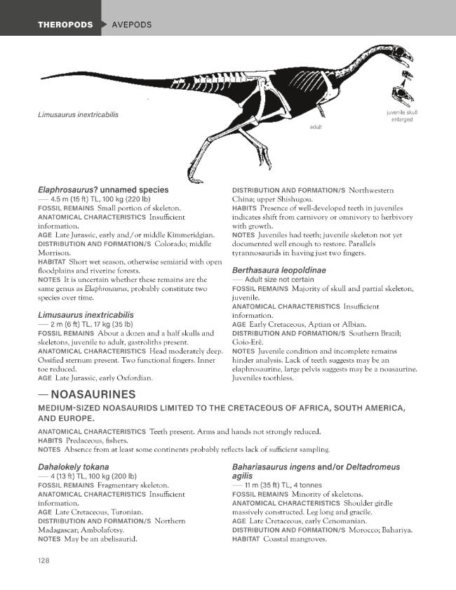 Exemple de page