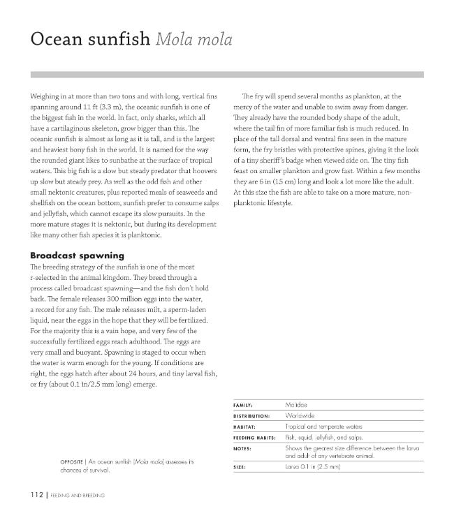 Sample page