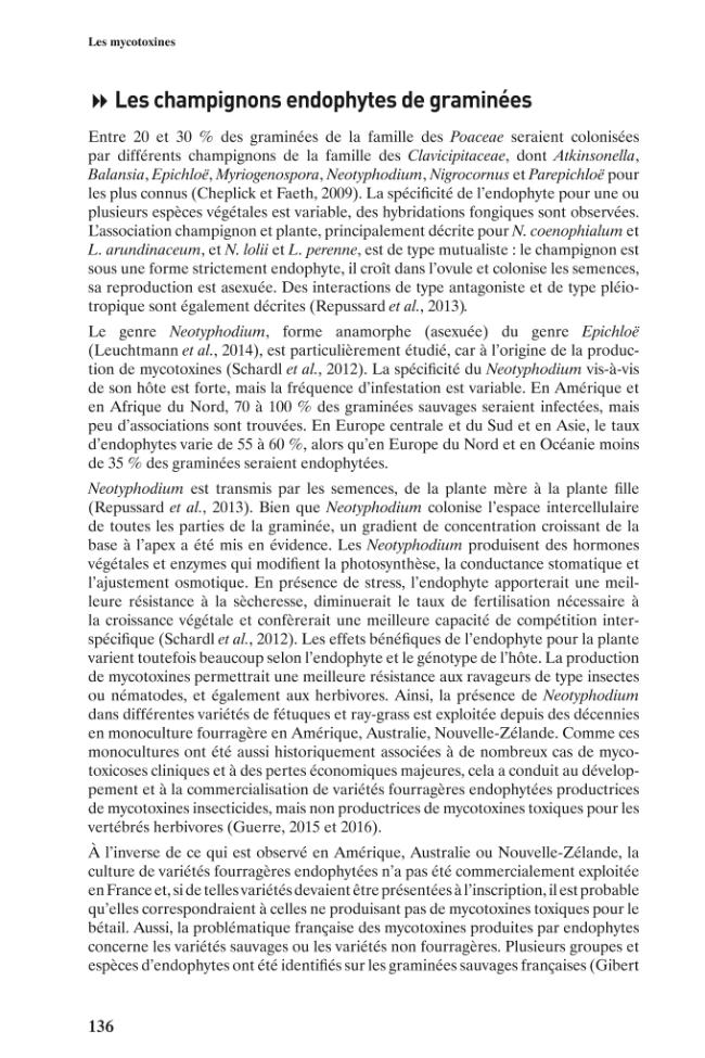 Página de muestra