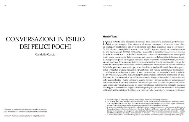 Pagina campione