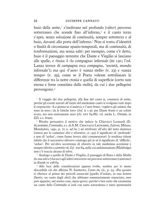 Pagina campione