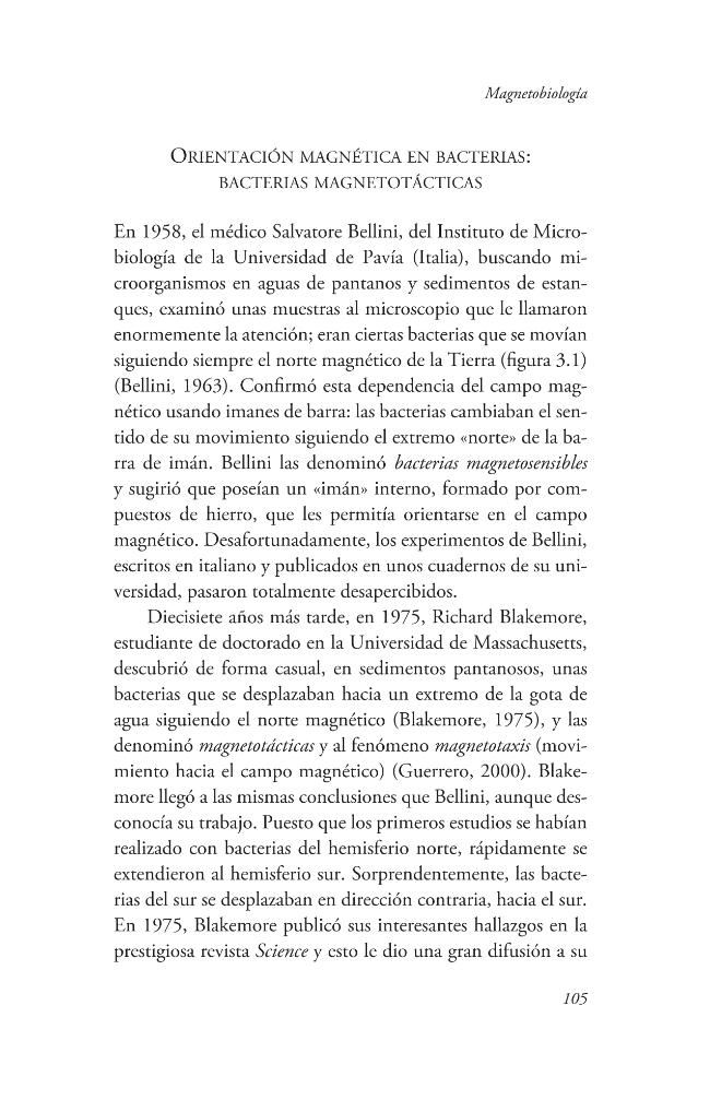 Probeseite