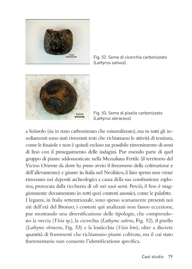 Probeseite