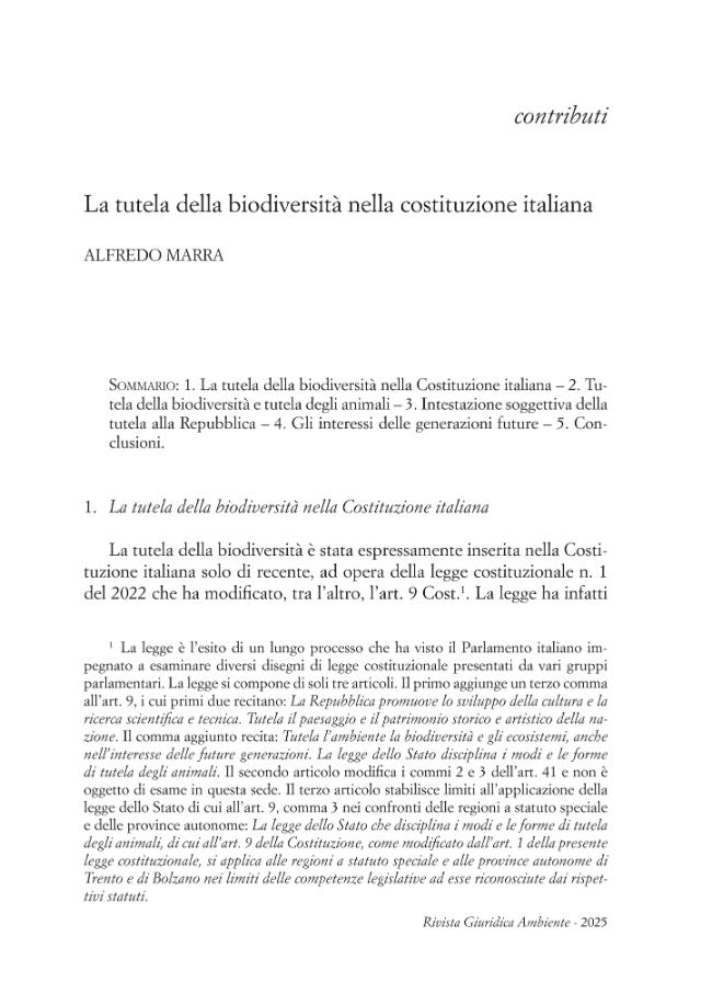 Pagina campione