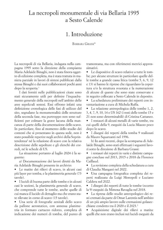 Pagina campione