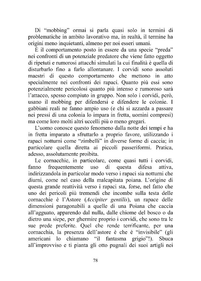 Página de muestra