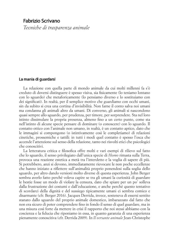 Probeseite