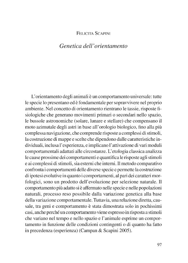 Pagina campione