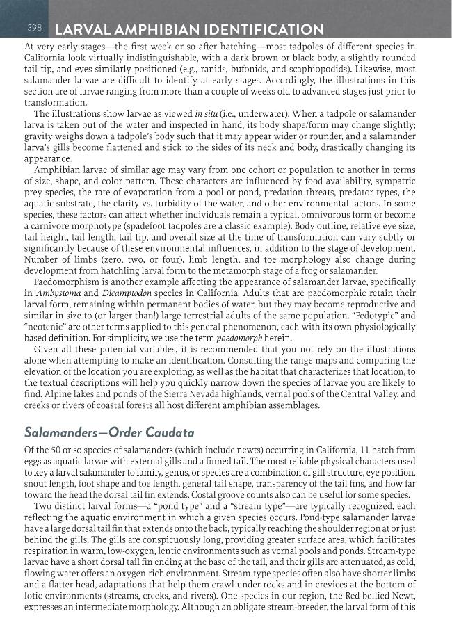 Sample page