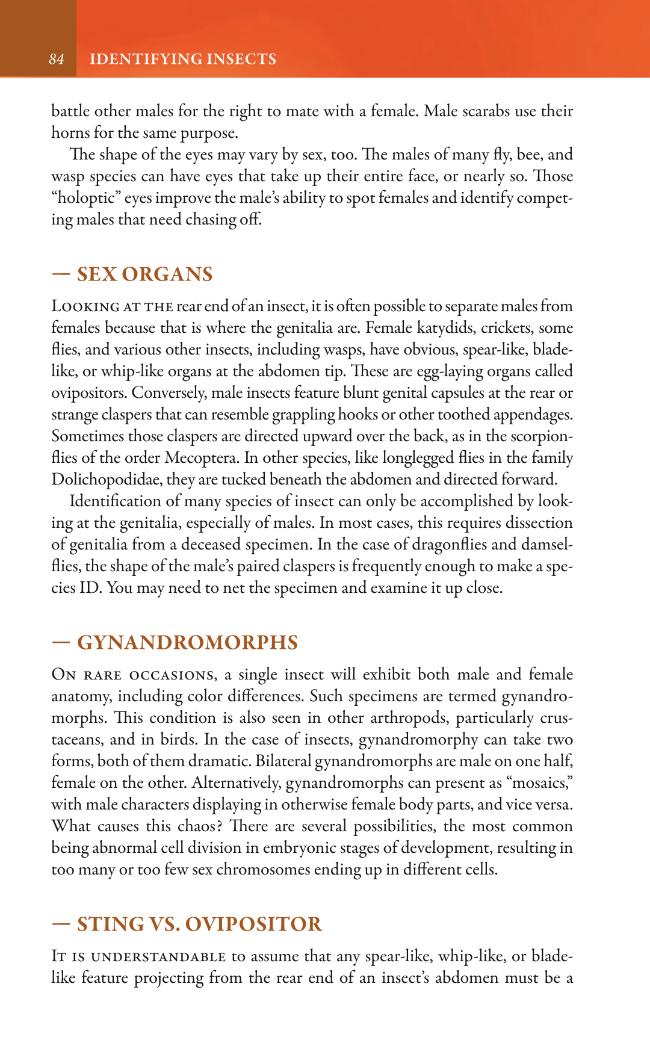 Exemple de page