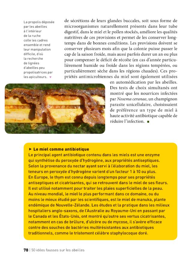Probeseite