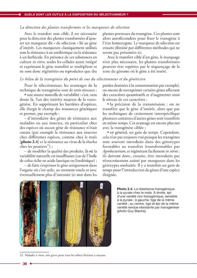 Página de muestra