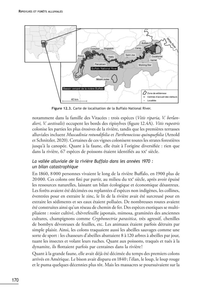 Página de muestra