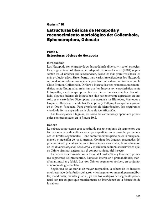Probeseite