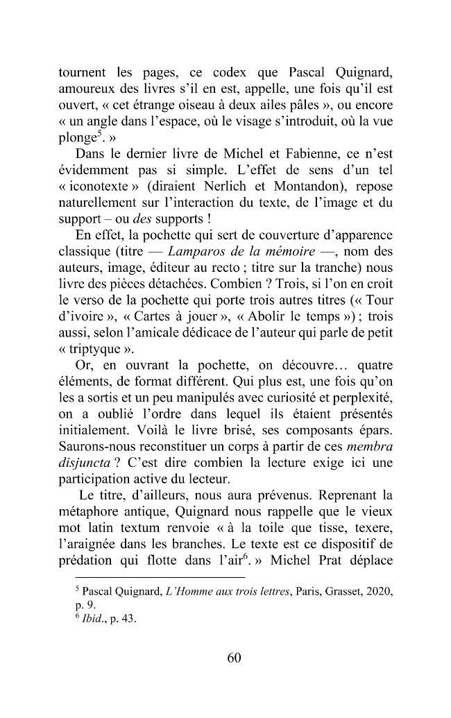 Pagina campione