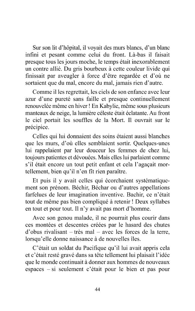 Pagina campione