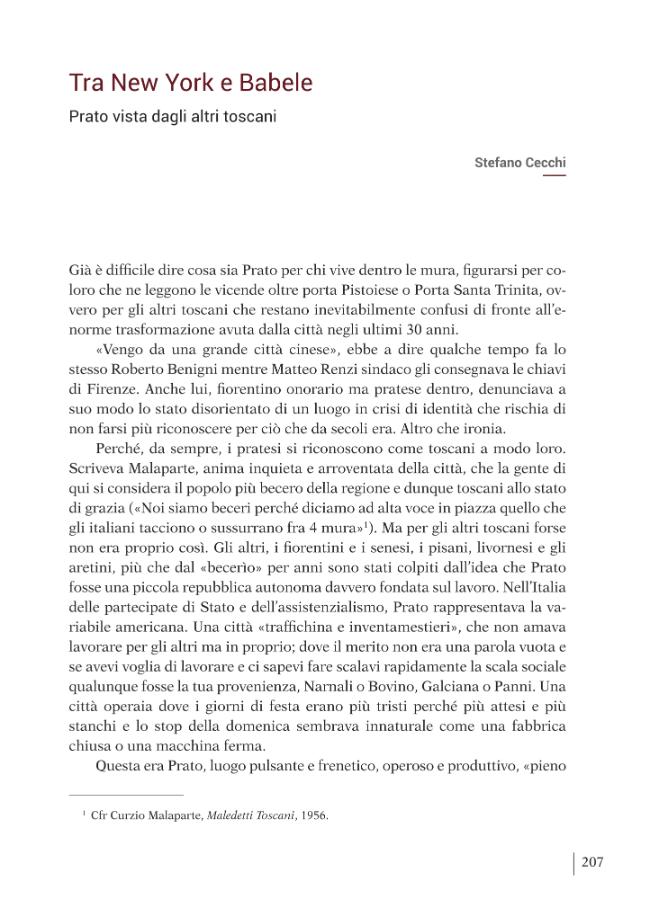 Pagina campione